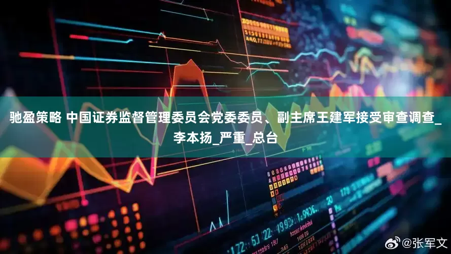 驰盈策略 中国证券监督管理委员会党委委员、副主席王建军接受审查调查_李本扬_严重_总台