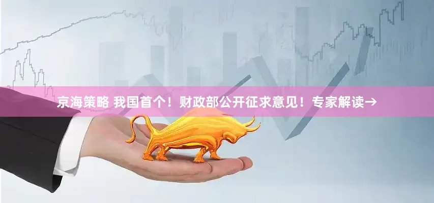 京海策略 我国首个！财政部公开征求意见！专家解读→