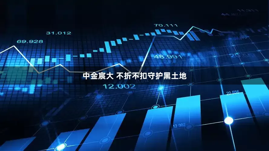 中金宸大 不折不扣守护黑土地