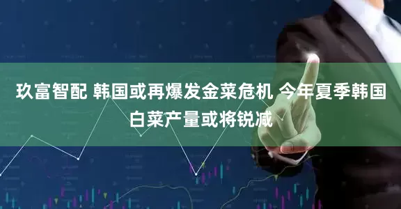 玖富智配 韩国或再爆发金菜危机 今年夏季韩国白菜产量或将锐减