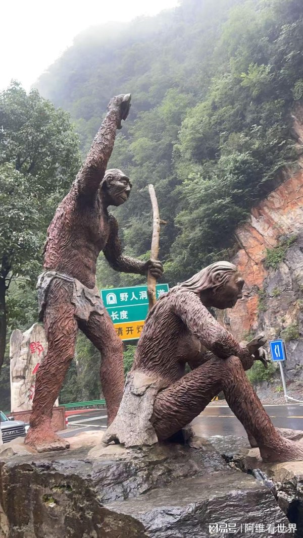 天天盈 我是南京人，在神农架66天，不吹不黑：大九湖人是真的牛！