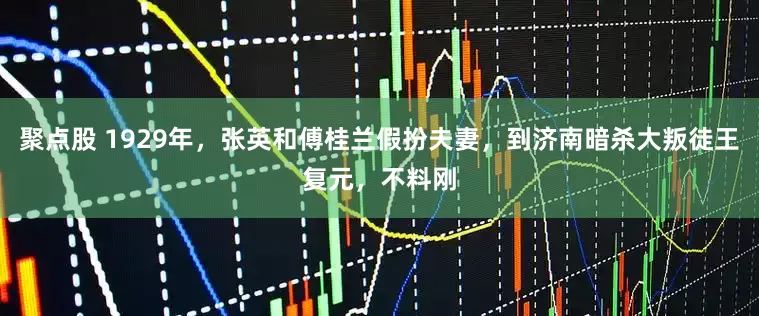 聚点股 1929年，张英和傅桂兰假扮夫妻，到济南暗杀大叛徒王复元，不料刚